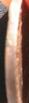 post-15560-128505978883_thumb.jpg