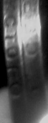 post-22610-132327879792_thumb.jpg