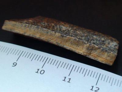 post-18733-13329353279_thumb.jpg