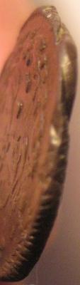 post-12424-133871138461_thumb.jpg