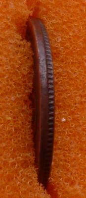 post-24561-0-36668700-1366899430_thumb.jpg