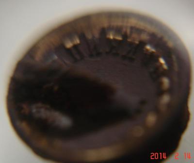 post-29769-0-84468800-1392403478_thumb.jpg