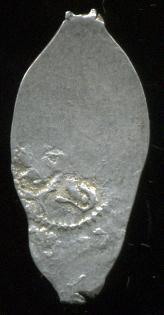 post-19905-0-76943200-1408485259_thumb.jpg