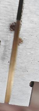 post-34533-0-02677900-1410258977_thumb.jpg