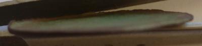 post-25043-0-42401000-1421407544_thumb.jpg