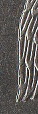 post-36594-0-95704600-1426835796_thumb.jpg
