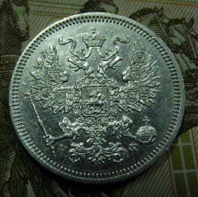 P1000017-1.jpg