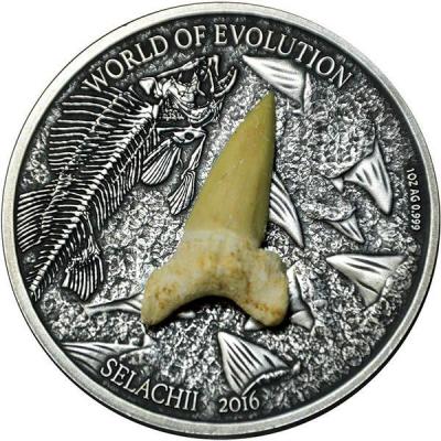 Буркина Фасо 1000 франков КФА 2016 «Мир эволюции (Зуб акулы)» (реверс).jpg