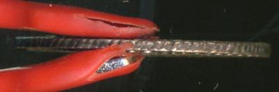 70314 08 20 копеек 1770 г1.jpg