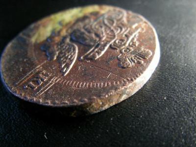 1983281.jpg