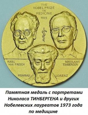 04.15_(15_aprelya_1907_goda_rodilsya_nikolas_tinbergen).thumb.jpg.150e66e16ad6df53b27e4dba3c6631cb.jpg