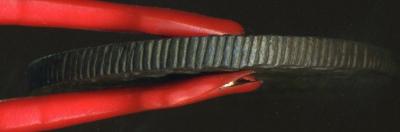 70425 04 5 копеек Сибирь 1778 КМ г1.jpg