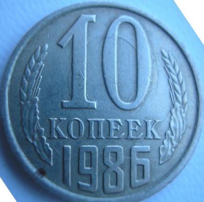 P1010003.JPG