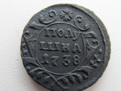 57219056.jpg