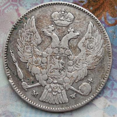 IMG_8036 злотый рев.jpg