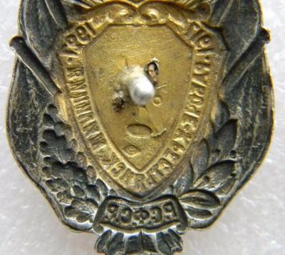 image (9) - с эффектами.jpg