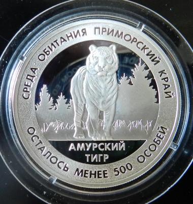 DSCN6881.jpg