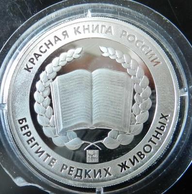 DSCN6886.jpg