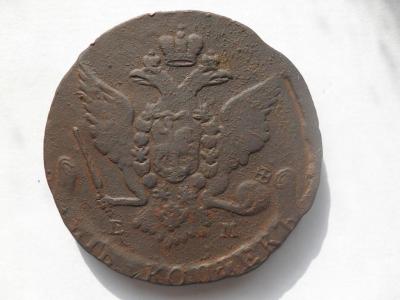 14597746.jpg