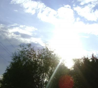003.thumb.jpg.2cd78fdf2d756dc506f8fbc527e298b3.jpg