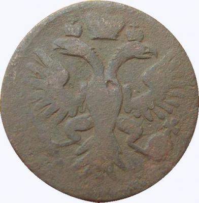 denga_1735_g_a_1.jpg