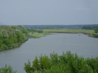 005.thumb.jpg.de99ad34d94507eea0ebe29cafba03ee.jpg