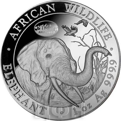 Сомали 100 шиллингов 2017 «Слон» (реверс).jpg