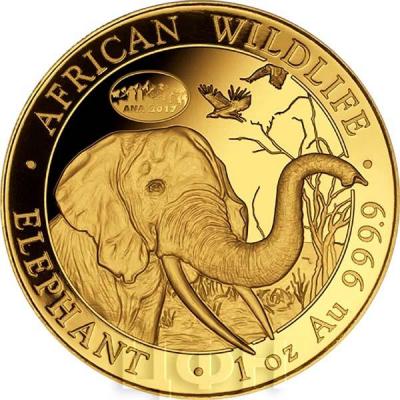 Сомали 100 шиллингов 2017 золото (реверс).jpg