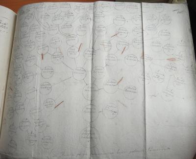 645.jpg