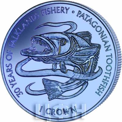 Фолклендские острова 1 крона 2017 «Патагонский клыкач» (реверс).jpg
