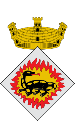 IMG_6072-1.PNG