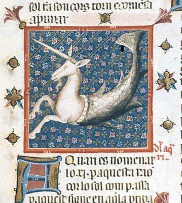 e495bb5889a234ad942fcb3fa386c6e2--catalan-yates.jpg