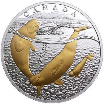 kanada_20_dollarov_2017_beluga_(1).jpg.998ddd7aac090d87a198abe2abdb8915.jpg