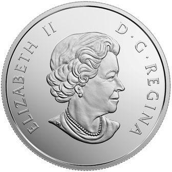 kanada_20_dollarov_2017_morskaya_cherepaha_(3).jpg.eb2d13fd7cf6afa44b6d71ce138b95a4.jpg