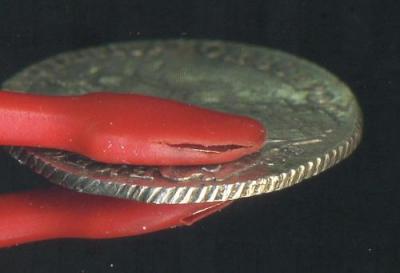 20к1772.г2.jpg