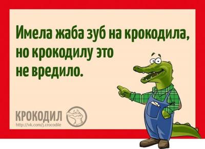 Жаба и Крокодил.jpg