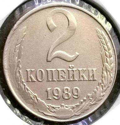 181989.jpg