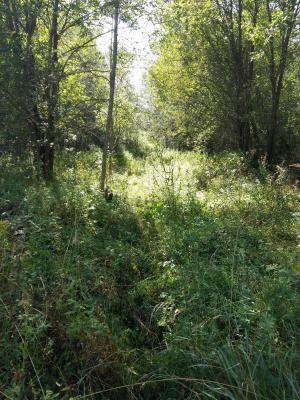 20170914_132613.jpg