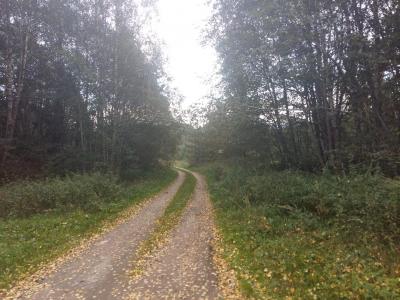 20170914_184737.jpg