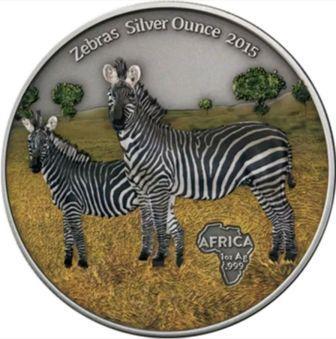 gabon_1000_frankov_2015_zebra_(1).jpg.58cebee3f1e147ac81e85b24fe5f10dc.jpg