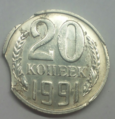выкусы 2.png
