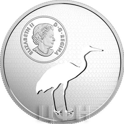 Канада 30 долларов Елизавета II  (аверс).jpg