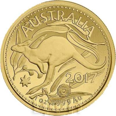 Австралия 100 долларов 2017 «Кенгуру»  реверс.jpg