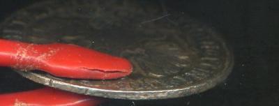 img475.jpg
