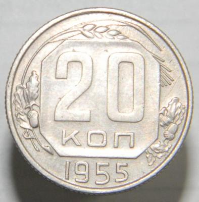 DSCN3170.JPG