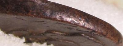 IMG_8514.JPG