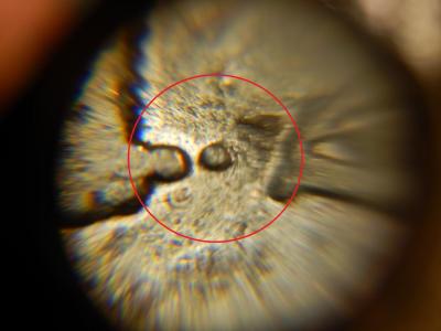 DSCN1631.JPG