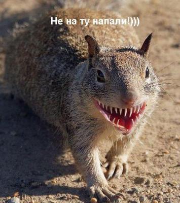 !000монетка 000.1 ааа. 0 м1.а2 ааа1 02.12345678.jpg