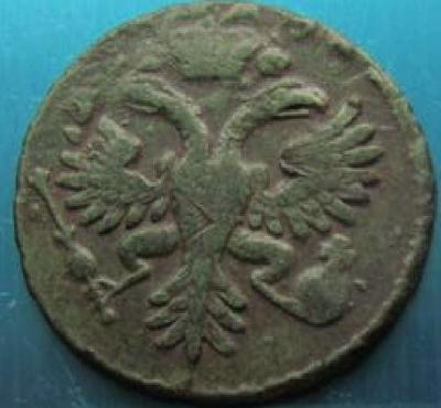 denga 1730.JPG