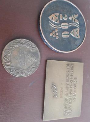 IMG-20171225-WA0053.jpeg